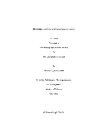 A Thesis Presented to The Faculty of Graduate Studies Of ... - Cubits
