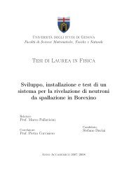 Tesi di Laurea in Fisica Sviluppo, installazione e test di ... - Borexino