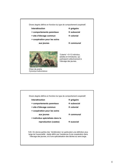 Présentation PowerPoint - Ecologie & Evolution
