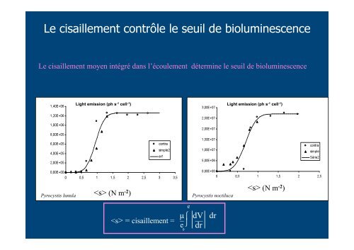 Bioluminescence du plancton marin