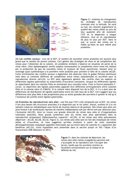 rapport d'auto-Žvaluation - Ecologie & Evolution - Université Pierre ...