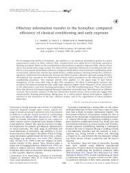 Olfactory information transfer in the honeybee - Ecologie & Evolution