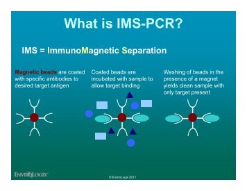 What is IMS-PCR? - EnviroLogix