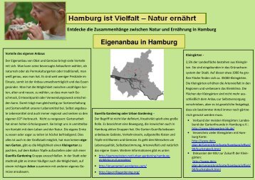Entdecke die Zusammenhänge zwischen Natur und ... - ANU Hamburg