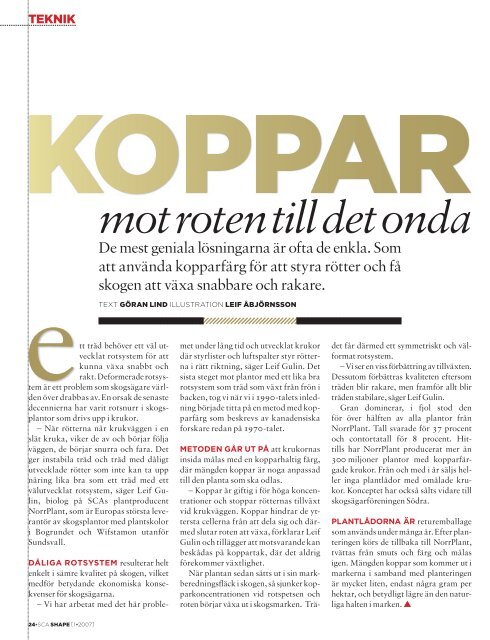 Tidning - SCA