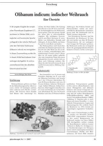 Olibanum indicum: indischer Weihrauch - Astral