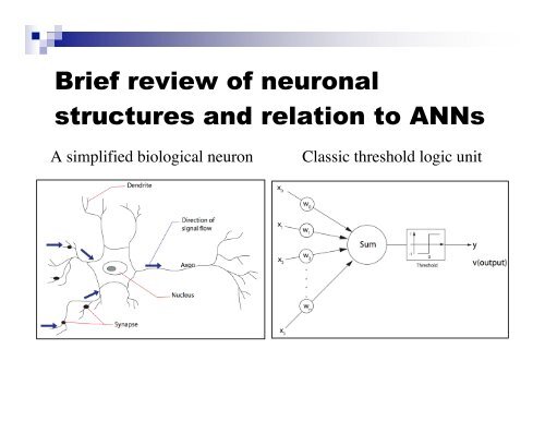 Intro to neural networks I - the TLU and perceptrons - MAELabs UCSD