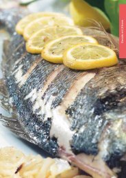 40+ Barracuda Gebiss Images