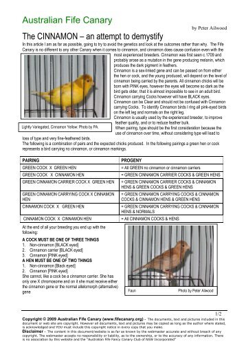 Australian Fife Canary The CINNAMON - Members Hn Ozemail