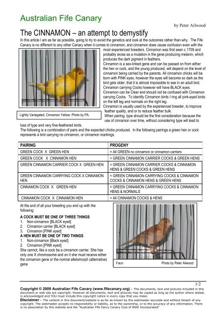 Australian Fife Canary The CINNAMON - Members Hn Ozemail