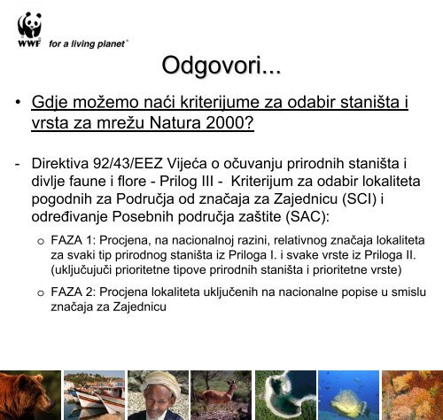 Odgovori... Z