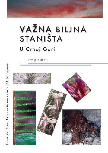 Važna biljna stanista u Crnoj Gori - Početak