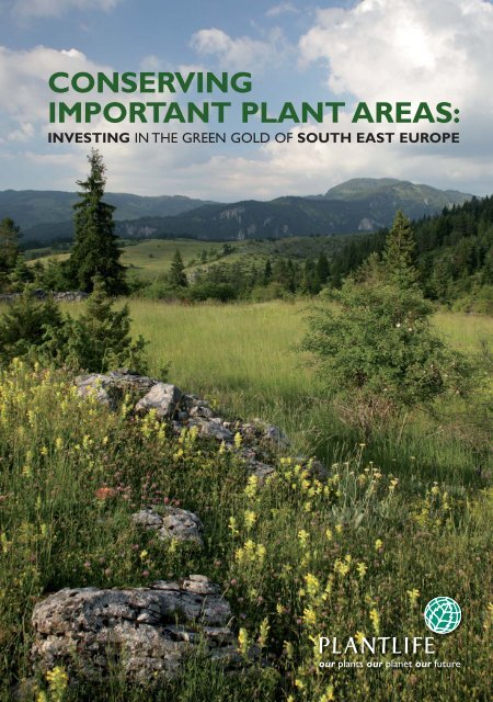 conserving important plant areas: investing - Plantlife