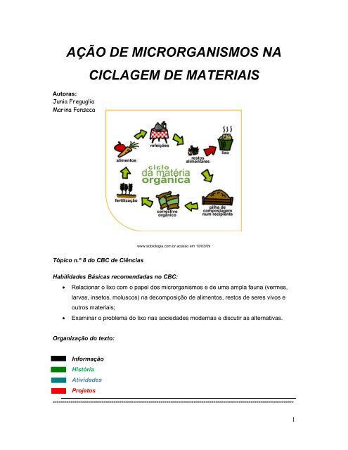 AÇÃO DE MICRORGANISMOS NA CICLAGEM DE MATERIAIS