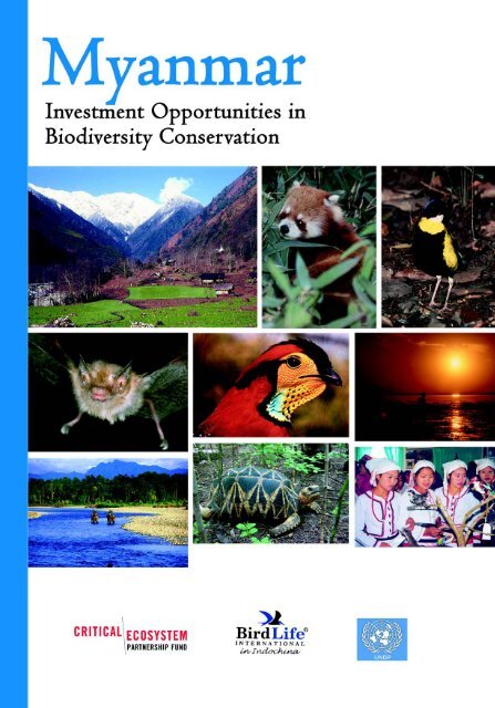 Myanmar: Investment Opportunities in Biodiversity Conservation
