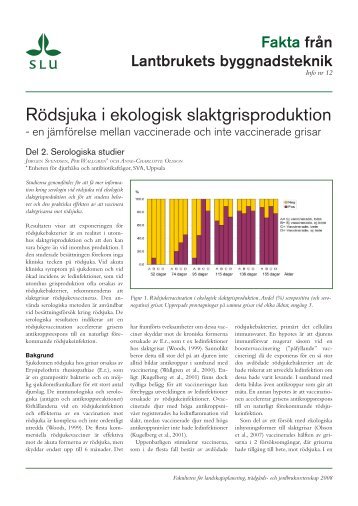 Rödsjuka i ekologisk slaktgrisproduktion - SLU