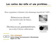 Les contes des mille et une protéines... Deinococcus deserti ...