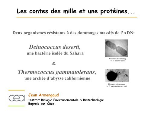 Les contes des mille et une protéines... Deinococcus deserti ...