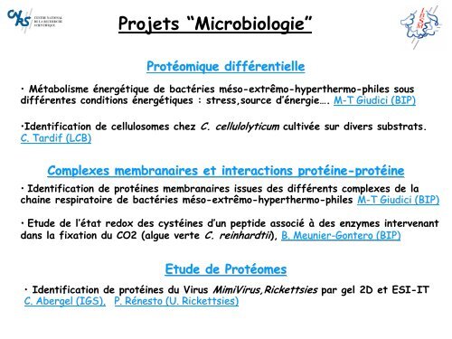 Institut de Biologie Structurale et Microbiologie