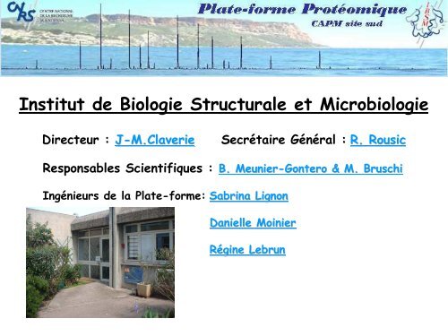 Institut de Biologie Structurale et Microbiologie