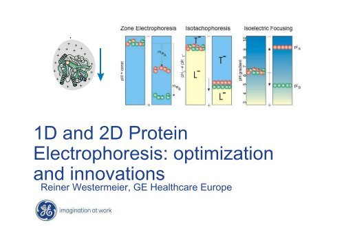 1D and 2D Protein Electrophoresis - Institut de Cancérologie et d ...