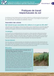 Pratiques de travail respectueuses du sol - agrilife - Europa