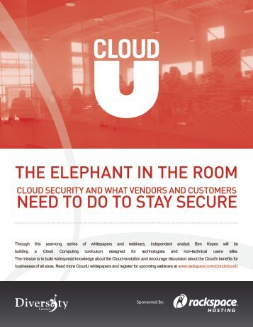 The Elephant in the Room—Cloud Security