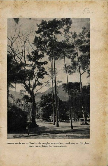 12 - Rodriguésia - Jardim Botânico do Rio de Janeiro
