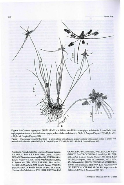 vol. 61, Supl. - Fundação Biblioteca Nacional