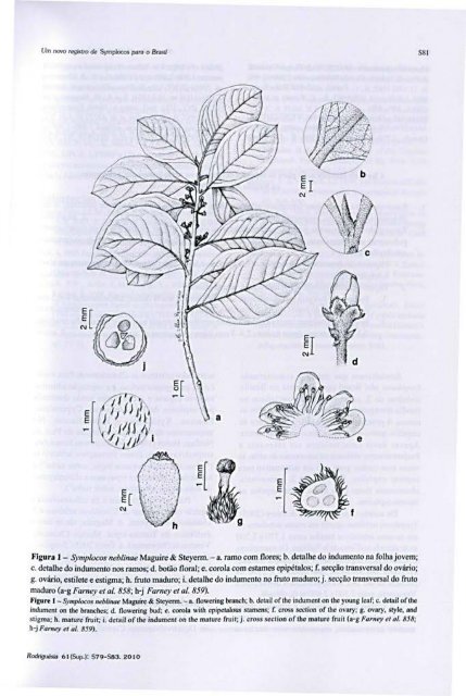 vol. 61, Supl. - Fundação Biblioteca Nacional