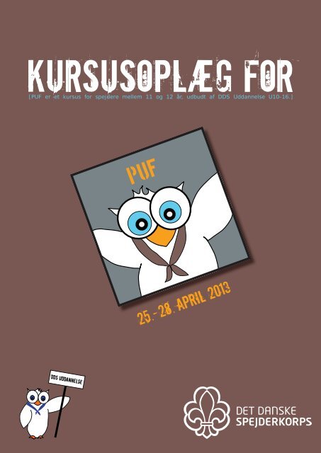 Kursusoplæg PUF 2013