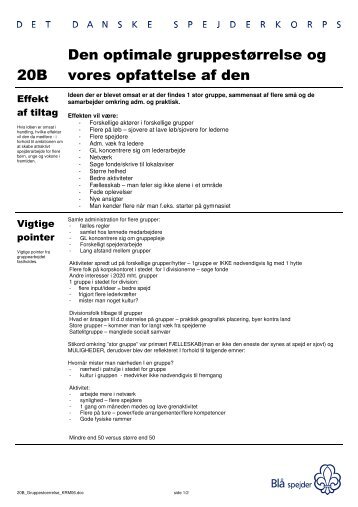 20B Den optimale gruppestørrelse og vores opfattelse af den - DDS.dk