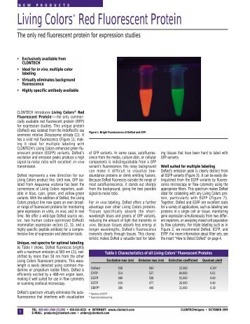 Living Colors® Red Fluorescent Protein