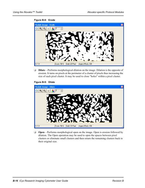 iCys User Guide