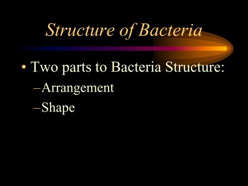 Characteristics of Bacteria