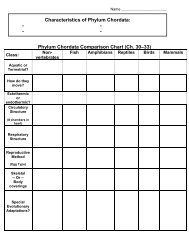 Phylum Chordata Comparison Chart