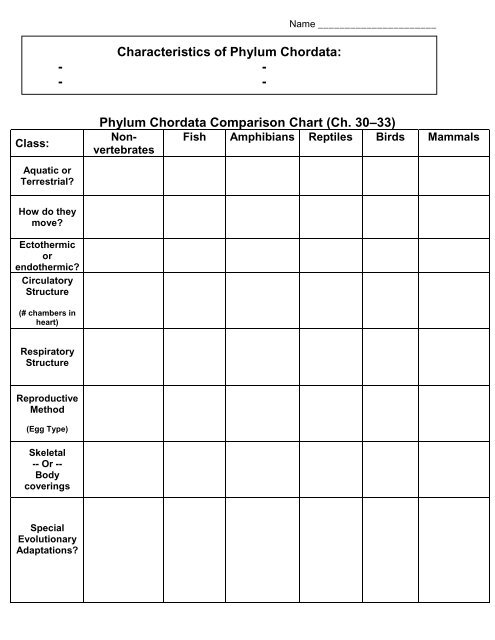 Phylum Chordata Characteristics Chart