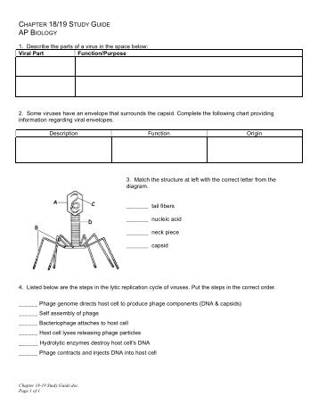 CHAPTER 18/19 STUDY GUIDE AP BIOLOGY 1 ... - Fort Bend ISD