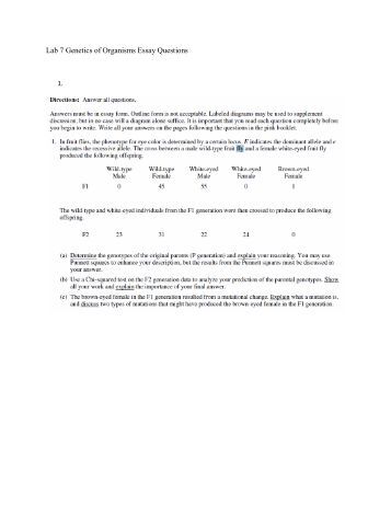 genetics essay