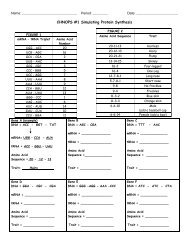Protein Synthesis Worksheet Molecular Biology Resource