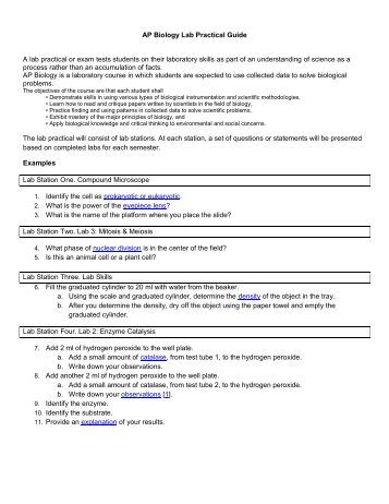 lab practical study guide Explore amira alexander's board a&p lab practical 1 on pinterest can keep your horse's joints healthy with this step-by-step visual guide, brought to you by. lab practical study guide Explore amira alexander's board a&p lab practical 1 on pinterest can keep your horse's joints healthy with this step-by-step visual guide, brought to you by.