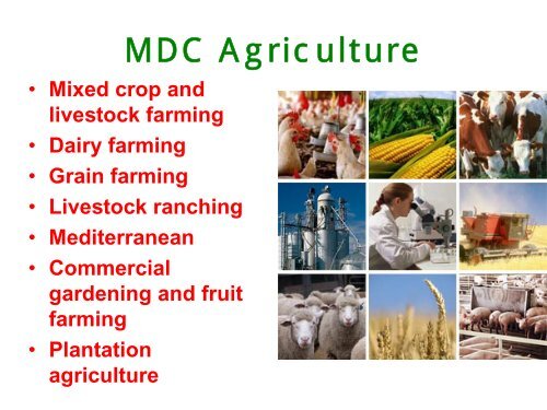 SUBSISTENCE FARMING VS. COMMERCIAL FARMING