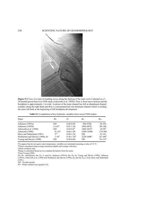 Physical Modelling in Fluvial Geomorphology