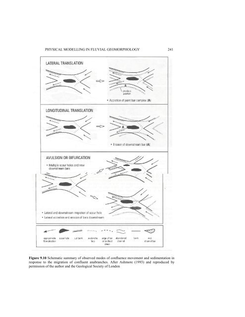 Physical Modelling in Fluvial Geomorphology