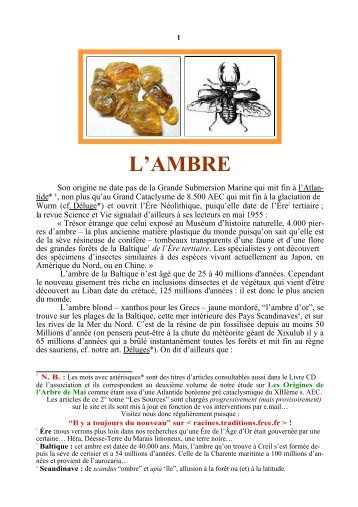 L'AMBRE - Racines et Traditions en Pays d'Europe - Free
