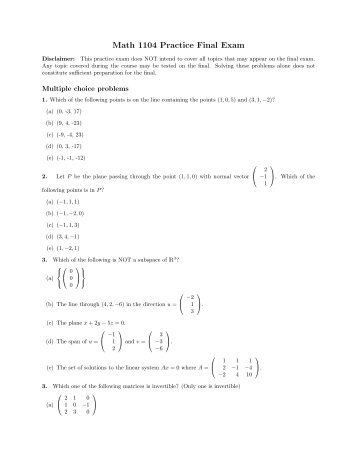 Math 1104 Practice Final Exam