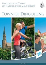 Town of Dingolfing