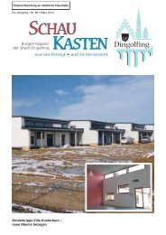 Ausgabe März 2013