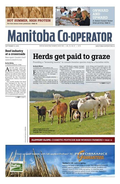 Herds get paid to graze