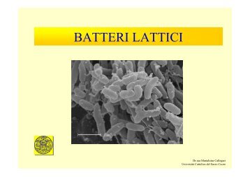 batteri lattici - Centri di Ricerca - Università Cattolica del Sacro Cuore